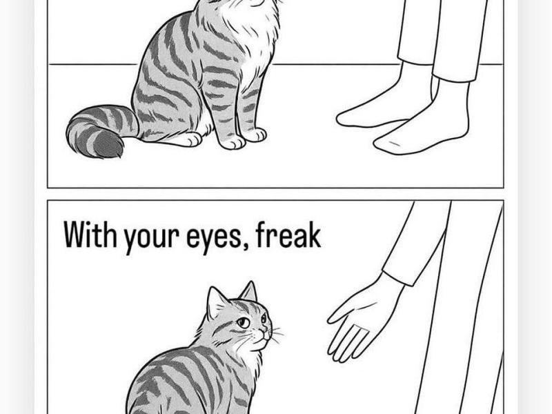 Totally wasn’t perusing Reddit&nbsp;(10/26/25)